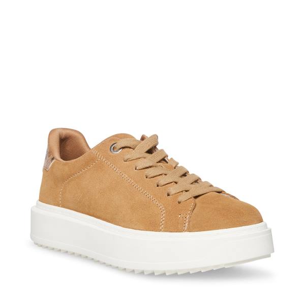 Steve Madden Catcher Taupe Süet Spor Ayakkabı Kadın Gri Kahverengi | SM-183QU