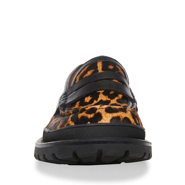 Steve Madden Charles Leopard Loafer Ayakkabı Erkek Leopar | SM-198FC