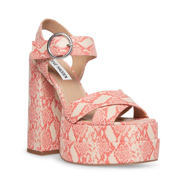 Steve Madden Charmed Heel Topuklu Ayakkabı Kadın Pembe Renkli | SM-419NH