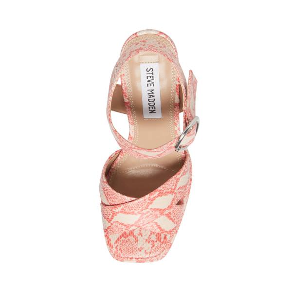 Steve Madden Charmed Heel Topuklu Ayakkabı Kadın Pembe Renkli | SM-419NH