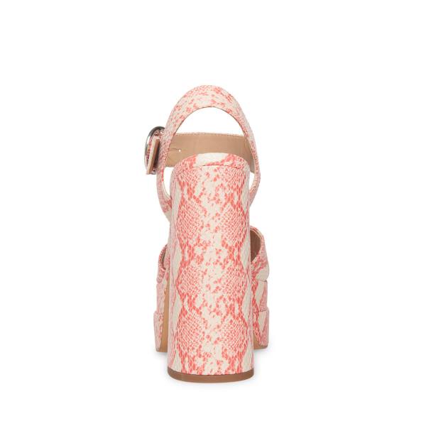 Steve Madden Charmed Heel Topuklu Ayakkabı Kadın Pembe Renkli | SM-419NH