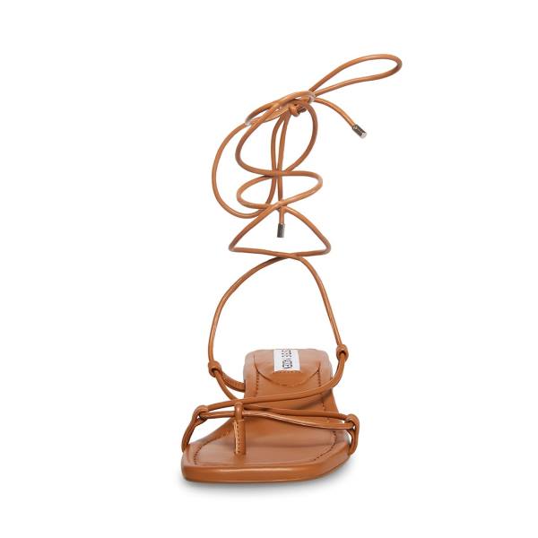 Steve Madden Claremont Tan Sandalet Kadın Koyu Kahverengi | SM-605EF