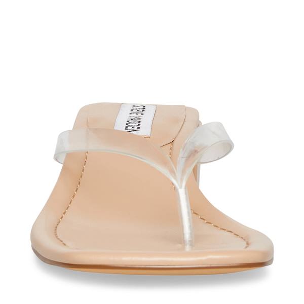 Steve Madden Claudette Sandalet Kadın Clear | SM-958TP