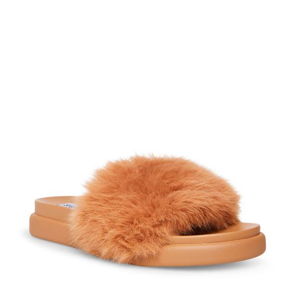 Steve Madden Delphina Tan Terlik Kadın Kahverengi | SM-641PX