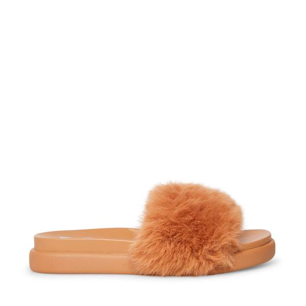 Steve Madden Delphina Tan Terlik Kadın Kahverengi | SM-641PX