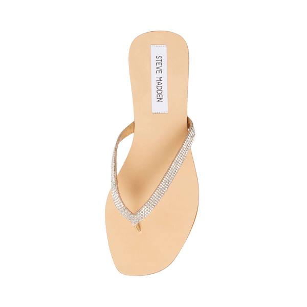 Steve Madden Fairlie-r Sandalet Kadın Diamond | SM-381FW