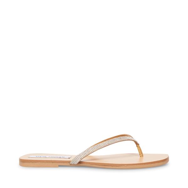 Steve Madden Fairlie-r Sandalet Kadın Diamond | SM-381FW