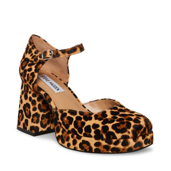 Steve Madden Mimi-l Leopard Heel Topuklu Ayakkabı Kadın Leopar | SM-584XZ