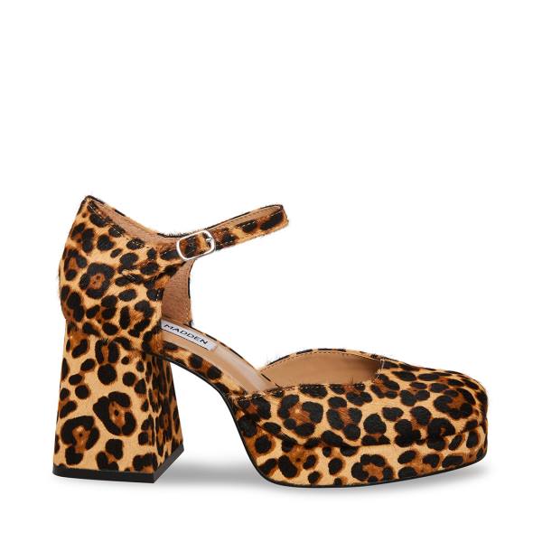 Steve Madden Mimi-l Leopard Heel Topuklu Ayakkabı Kadın Leopar | SM-584XZ