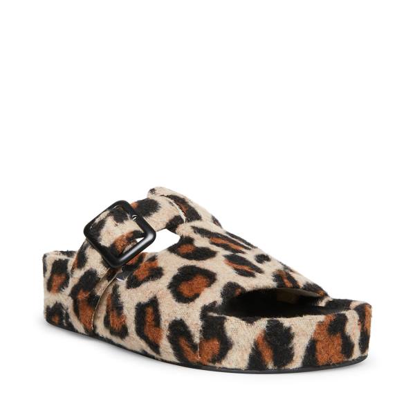 Steve Madden Rizzle Leopard Terlik Kadın Leopar | SM-607ER