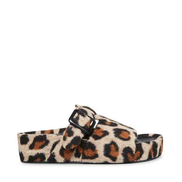 Steve Madden Rizzle Leopard Terlik Kadın Leopar | SM-607ER