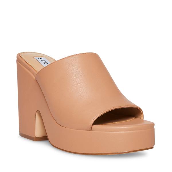 Steve Madden Sally Tan Heel Topuklu Ayakkabı Kadın Koyu Kahverengi | SM-495XT