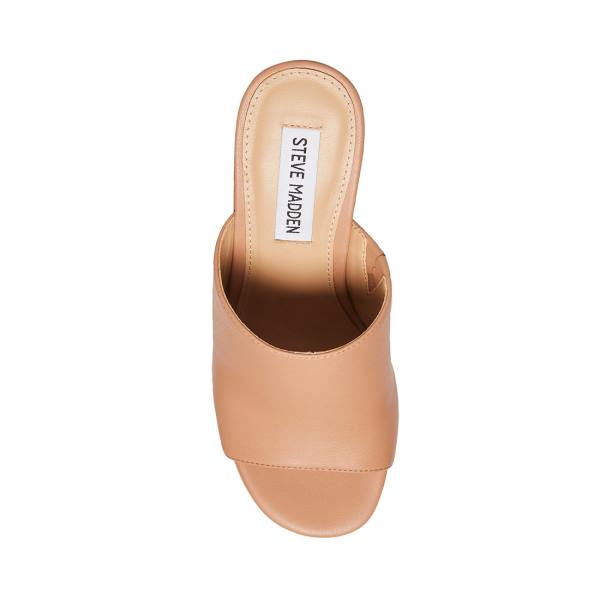 Steve Madden Sally Tan Heel Topuklu Ayakkabı Kadın Koyu Kahverengi | SM-495XT