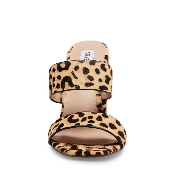 Steve Madden Tegan-l Leopard Heel Topuklu Ayakkabı Kadın Leopar | SM-036DY