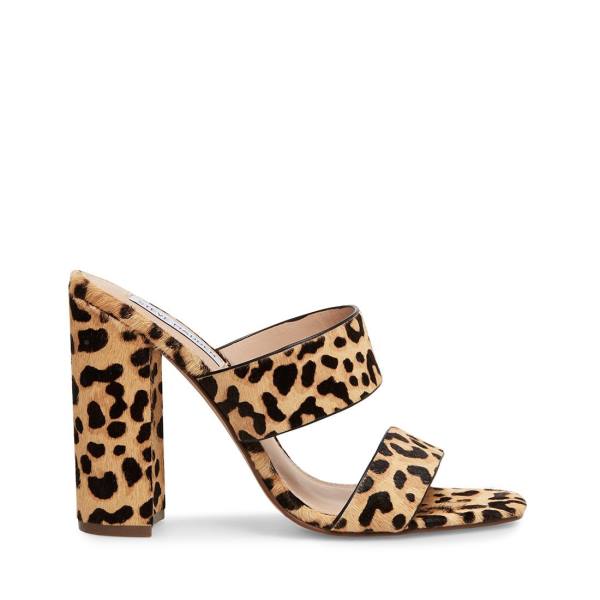 Steve Madden Tegan-l Leopard Heel Topuklu Ayakkabı Kadın Leopar | SM-036DY