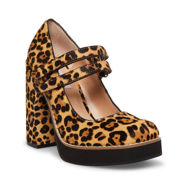 Steve Madden Twice-p Leopard Heel Topuklu Ayakkabı Kadın Leopar | SM-507LZ