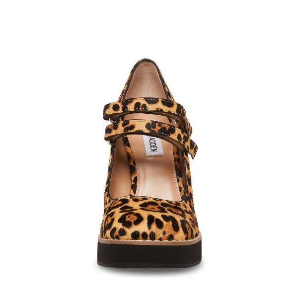 Steve Madden Twice-p Leopard Heel Topuklu Ayakkabı Kadın Leopar | SM-507LZ