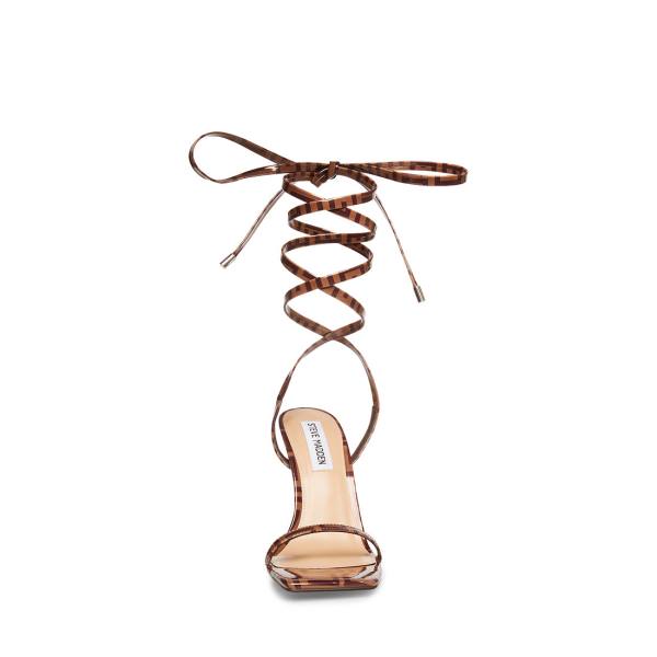 Steve Madden Uplift Camel Heel Topuklu Ayakkabı Kadın Kahverengi | SM-095EZ