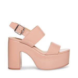 Steve Madden Dafne Rugan Heel Topuklu Ayakkabı Kadın Pembe | SM-418ZT